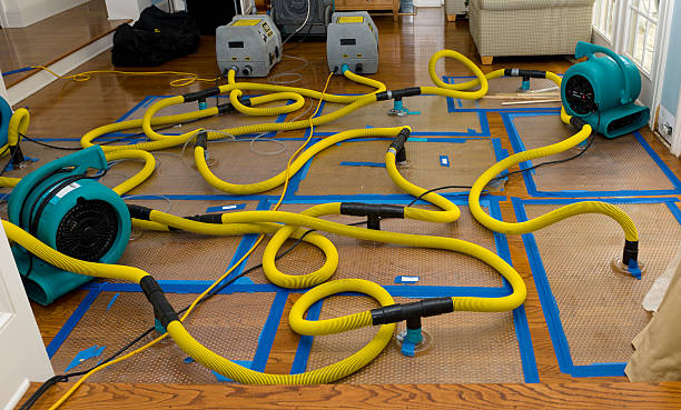 Professional Water Damage Restoration technician working in Villa Park, CA